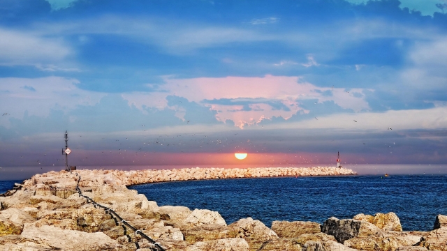 开元集团乒乓球台之间的隔断